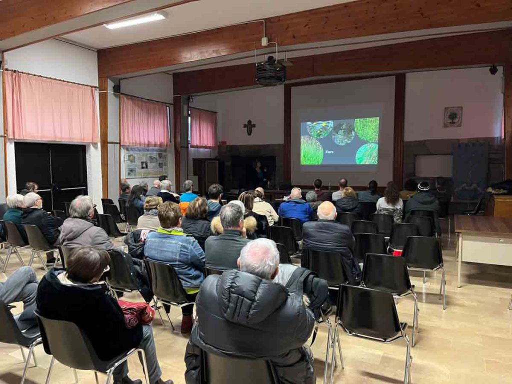 Pian della Piscina: un’area umida di valore conservazionistico sulla cima del Monte Amiata