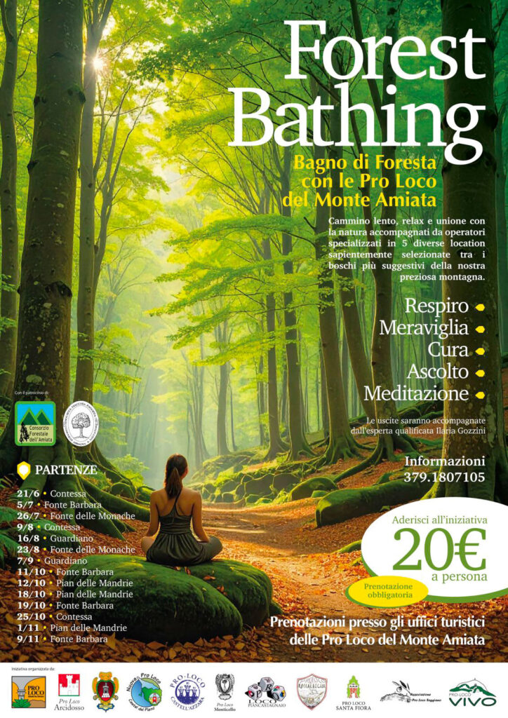 Bagno di foresta con le Pro Loco del Monte Amiata