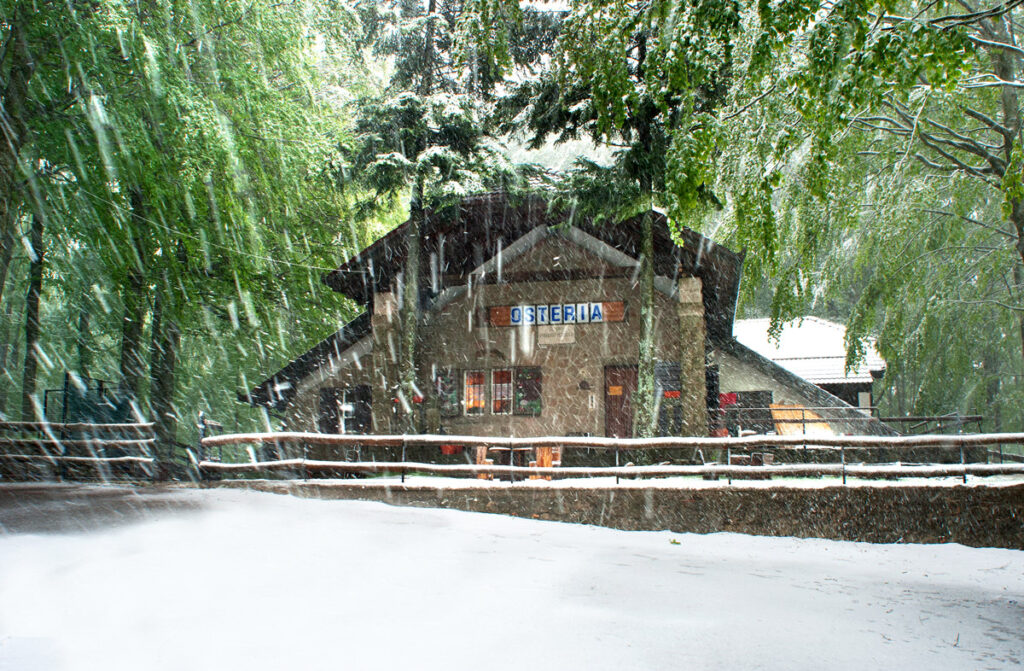 Primo Rifugio Amiatino - Avviso esplorativo per manifestazioni di interesse