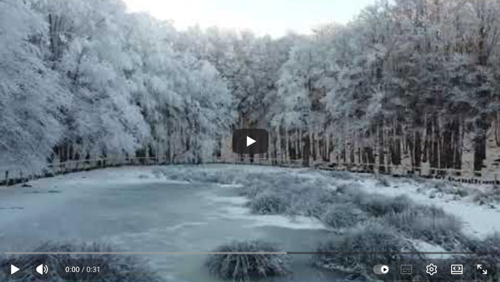 Video dell'intervento di Pian della Pescina