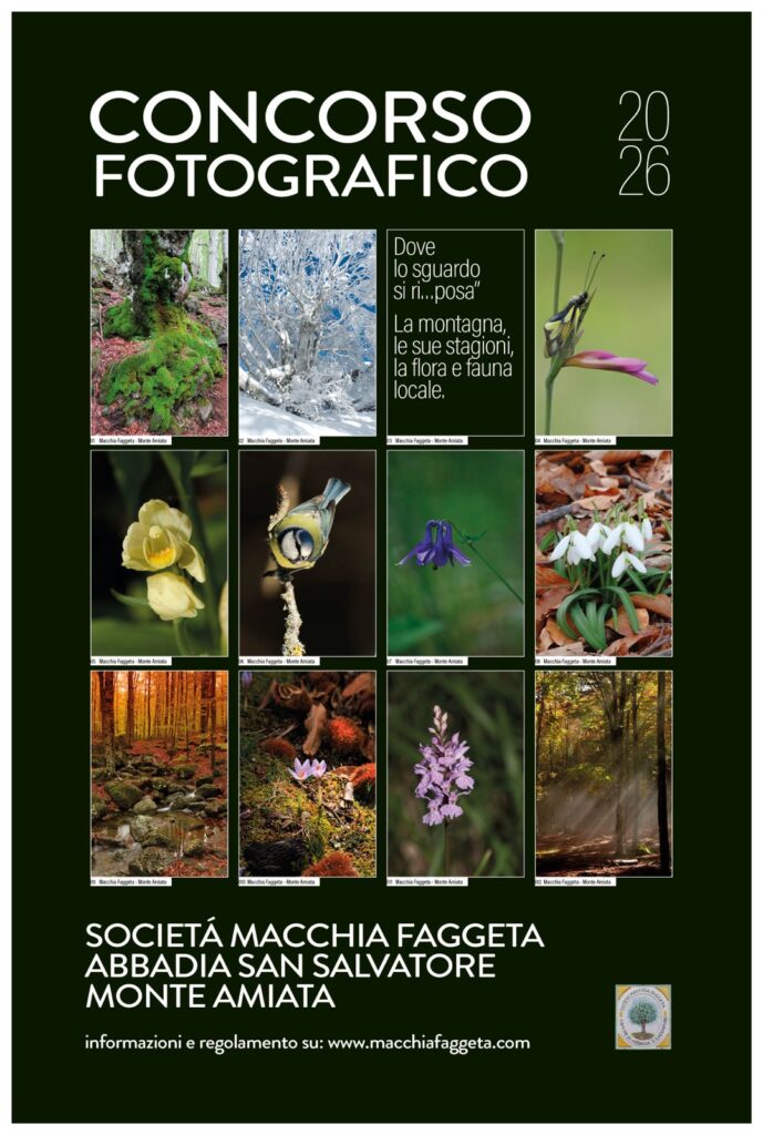 Concorso fotografico