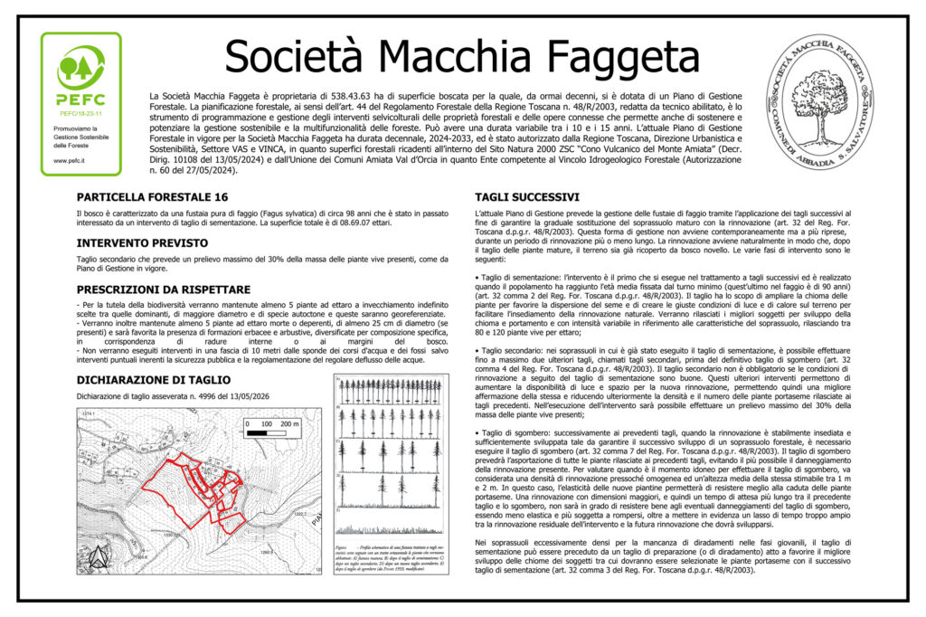 Particella Forestale n. 16 - Intervento: taglio secondario