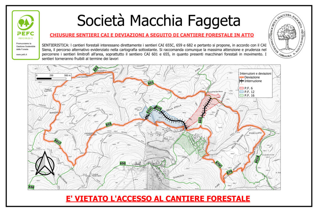Particella forestale n. 6 – Intervento: taglio secondario